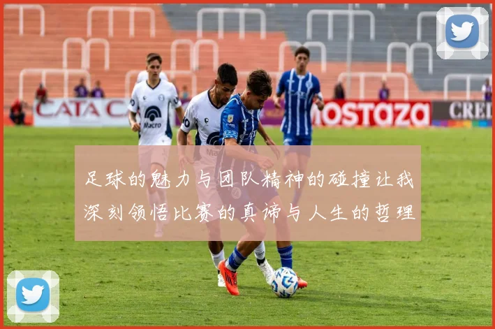 足球的魅力与团队精神的碰撞让我深刻领悟比赛的真谛与人生的哲理