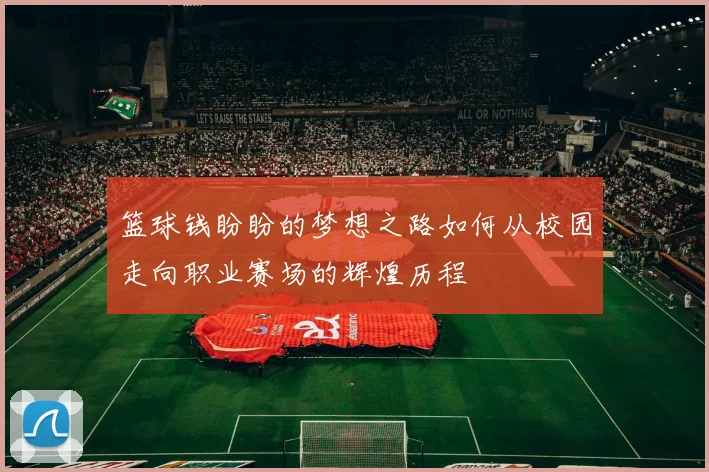 篮球钱盼盼的梦想之路如何从校园走向职业赛场的辉煌历程